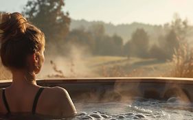 ibis Styles Aix les Bains Domaine de Marlioz